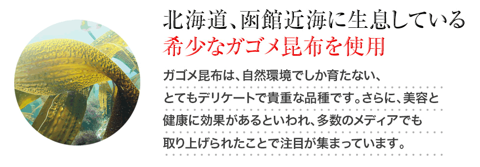 北海道函館産ガゴメ昆布