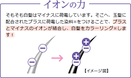 イオンの力