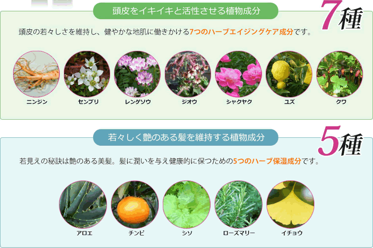 12種類(7+5種類)の植物由来成分