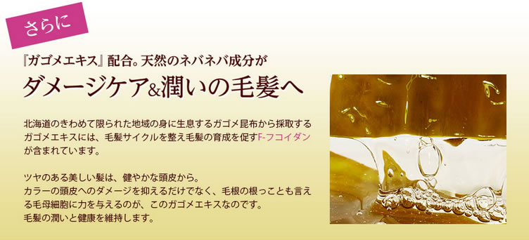 配合されたガゴメエキスの説明
